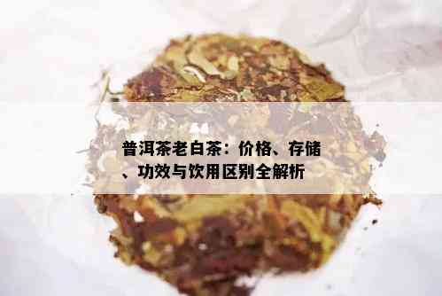 普洱茶老白茶：价格、存储、功效与饮用区别全解析