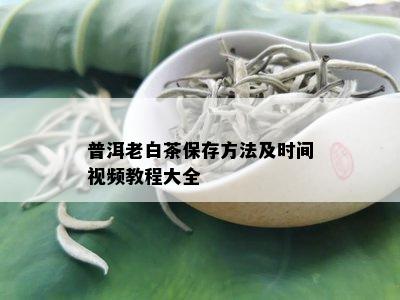 普洱老白茶保存方法及时间视频教程大全