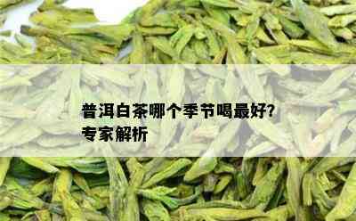 普洱白茶哪个季节喝更好？专家解析