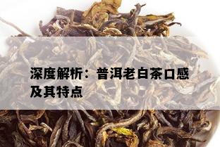 深度解析：普洱老白茶口感及其特点