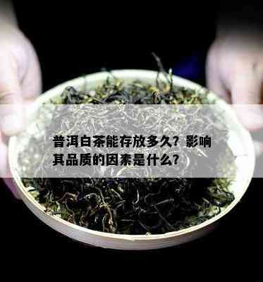 普洱白茶能存放多久？影响其品质的因素是什么？