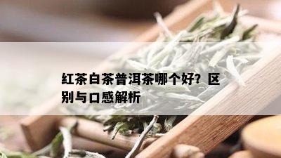 红茶白茶普洱茶哪个好？区别与口感解析