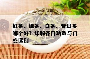 红茶、绿茶、白茶、普洱茶哪个好？详解各自功效与口感区别