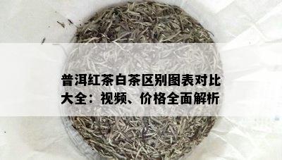 普洱红茶白茶区别图表对比大全：视频、价格全面解析