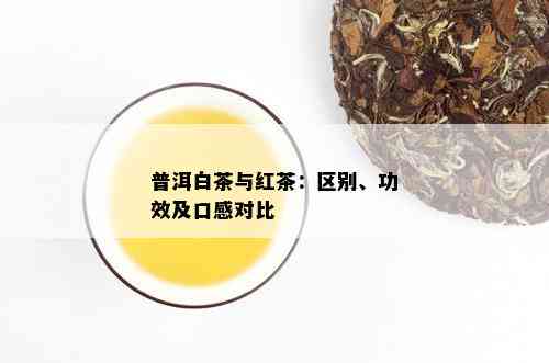 普洱白茶与红茶：区别、功效及口感对比