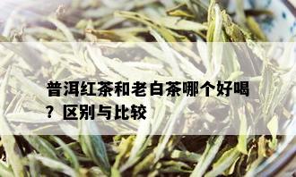 普洱红茶和老白茶哪个好喝？区别与比较