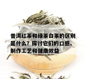 普洱红茶和绿茶白茶的区别是什么？探讨它们的口感、制作工艺和健康效益