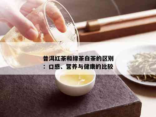 普洱红茶和绿茶白茶的区别：口感、营养与健康的比较