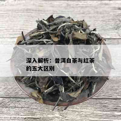 深入解析：普洱白茶与红茶的五大区别