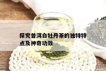 探究普洱白牡丹茶的独特特点及神奇功效