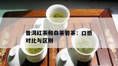 普洱红茶和白茶岩茶：口感对比与区别