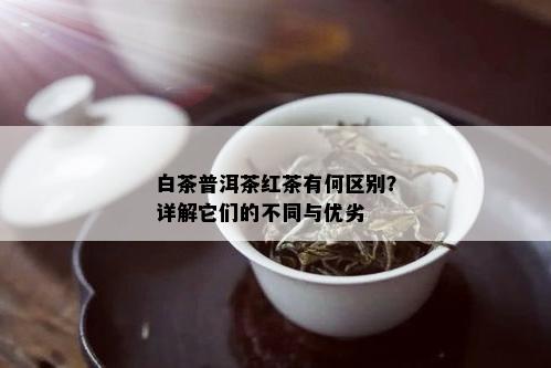 白茶普洱茶红茶有何区别？详解它们的不同与优劣