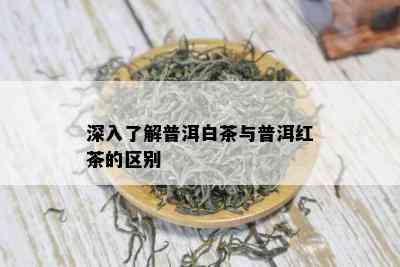 深入了解普洱白茶与普洱红茶的区别