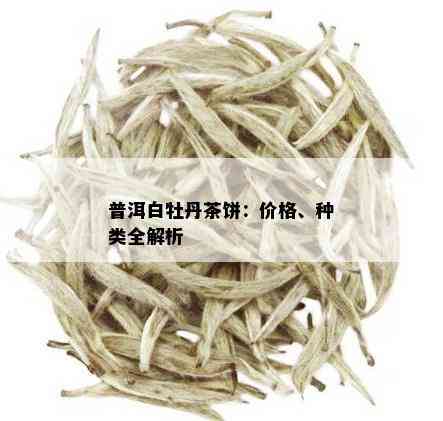 普洱白牡丹茶饼：价格、种类全解析