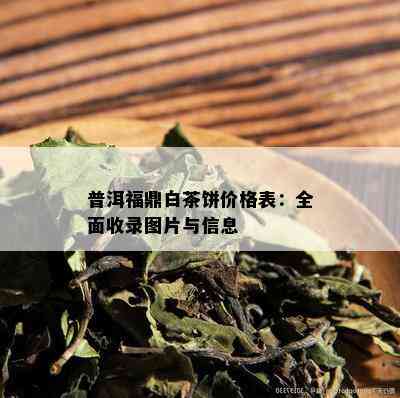 普洱福鼎白茶饼价格表：全面收录图片与信息