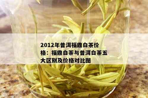 2012年普洱福鼎白茶价格：福鼎白茶与普洱白茶五大区别及价格对比图