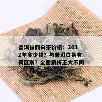 普洱福鼎白茶价格：2012年多少钱？与普洱白茶有何区别？全图解析五大不同