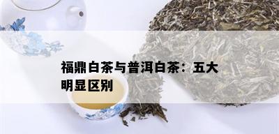 福鼎白茶与普洱白茶：五大明显区别