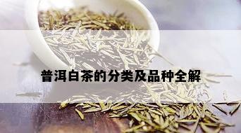 普洱白茶的分类及品种全解