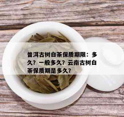 普洱古树白茶保质期限：多久？一般多久？云南古树白茶保质期是多久？