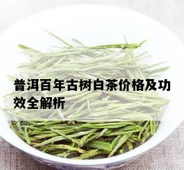 普洱百年古树白茶价格及功效全解析