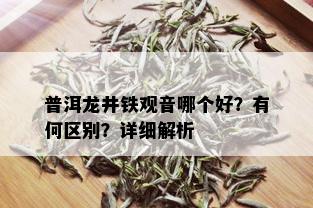 普洱龙井铁观音哪个好？有何区别？详细解析