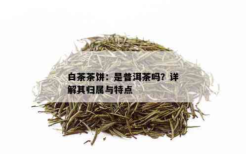 白茶茶饼：是普洱茶吗？详解其归属与特点