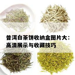 普洱白茶饼收纳盒图片大：高清展示与收藏技巧