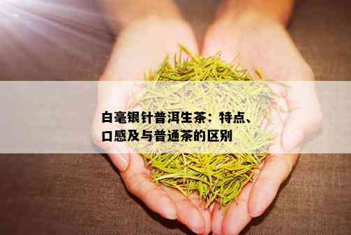 白毫银针普洱生茶：特点、口感及与普通茶的区别