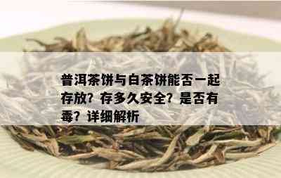 普洱茶饼与白茶饼能否一起存放？存多久安全？是否有？详细解析