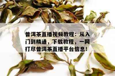 普洱茶直播视频教程：从入门到精通，下载教程，一网打尽普洱茶直播平台信息！