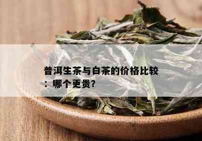 普洱生茶与白茶的价格比较：哪个更贵？