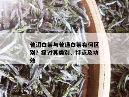 普洱白茶与普通白茶有何区别？探讨其类别、特点及功效