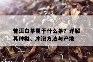 普洱白茶属于什么茶？详解其种类、冲泡方法与产地