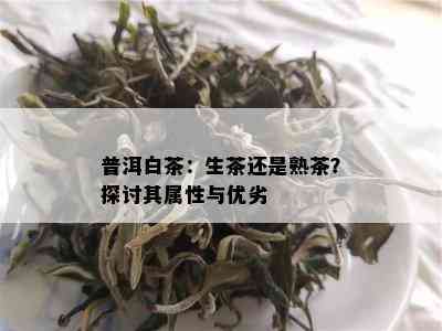 普洱白茶：生茶还是熟茶？探讨其属性与优劣