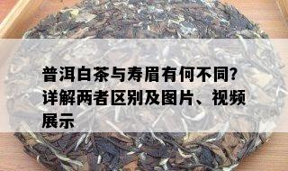 普洱白茶与寿眉有何不同？详解两者区别及图片、视频展示