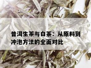 普洱生茶与白茶：从原料到冲泡方法的全面对比