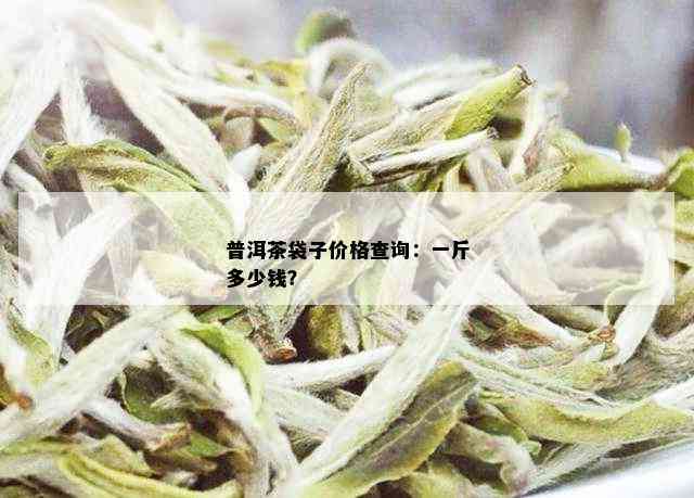 普洱茶袋子价格查询：一斤多少钱？