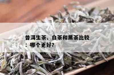 普洱生茶、白茶和黑茶比较：哪个更好？