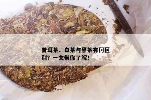 普洱茶、白茶与黑茶有何区别？一文带你了解！