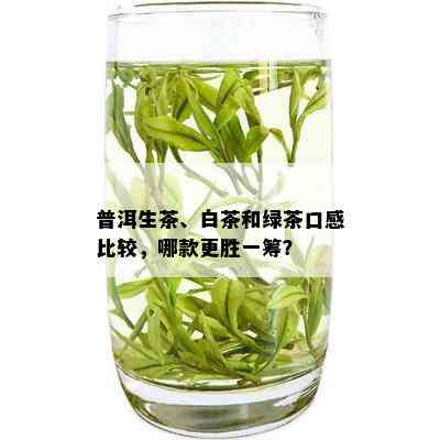 普洱生茶、白茶和绿茶口感比较，哪款更胜一筹？