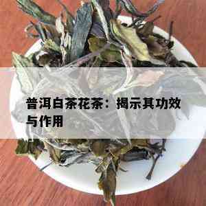 普洱白茶花茶：揭示其功效与作用