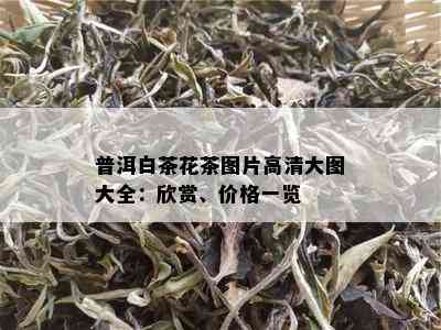 普洱白茶花茶图片高清大图大全：欣赏、价格一览