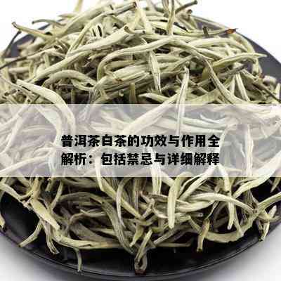 普洱茶白茶的功效与作用全解析：包括禁忌与详细解释