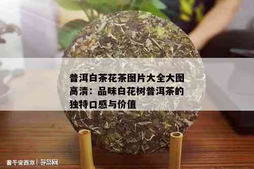 普洱白茶花茶图片大全大图高清：品味白花树普洱茶的独特口感与价值