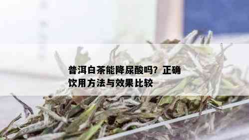 普洱白茶能降尿酸吗？正确饮用方法与效果比较