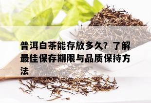 普洱白茶能存放多久？了解更佳保存期限与品质保持方法