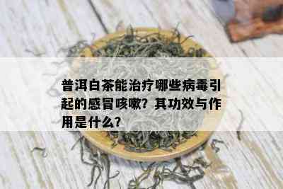 普洱白茶能治疗哪些病引起的感冒咳嗽？其功效与作用是什么？