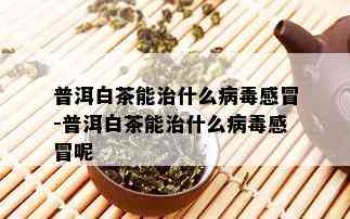 普洱白茶能治什么病感冒-普洱白茶能治什么病感冒呢