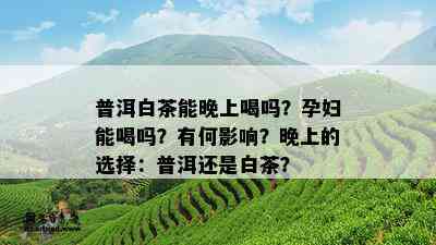 普洱白茶能晚上喝吗？孕妇能喝吗？有何影响？晚上的选择：普洱还是白茶？